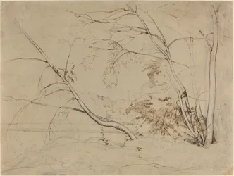 Grupo de árboles en Civita Castellana, 1826