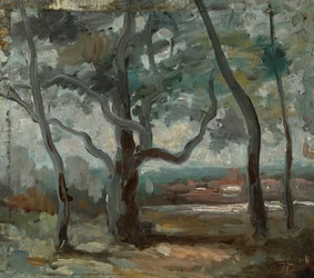 El Gran Árbol (Estudio)