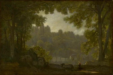 paisaje forestal