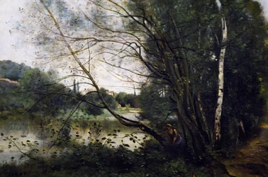 Lago con el tronco de árbol inclinado
