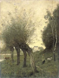 Paisaje con sauces de Pollard
