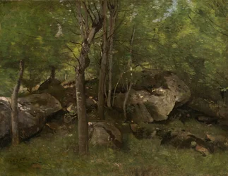 Rocas en el bosque de Fontainebleau