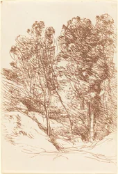 Recuerdo del Valle de la Sole