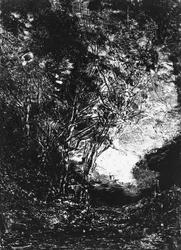 La Emboscada, 1858