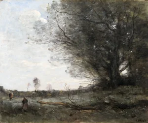 El haya