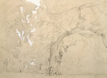 Joven frente a un gran roble, c.1840