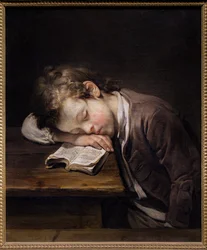 El pequeño perezoso