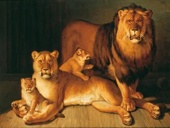 Una manada de leones