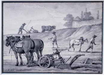 Agricultura: escena de arado