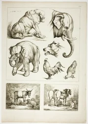 Lámina 32 de 38 de Oeuvres de J. B. Huet