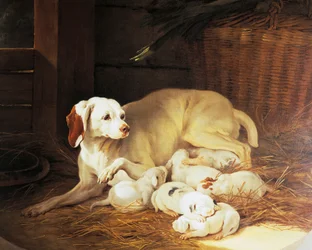 Perra amamantando cachorros, (detalle) de Lise et ses petits, por Jean-Baptiste Oudry (1686-1755), Francia