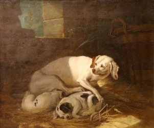 Perra amamantando a sus cachorros.