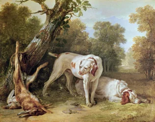 Perro y Liebre