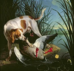 Perro con un pato salvaje