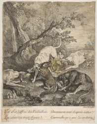 Caza del Zorro, 1736