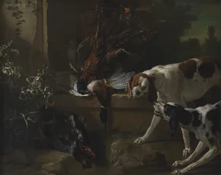 Perros con aves silvestres y caza
