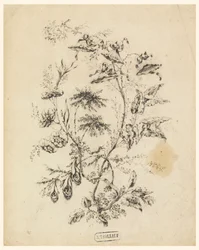 Rama de un árbol fantástico