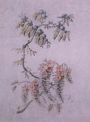 Estudio decorativo de flores y bayas
