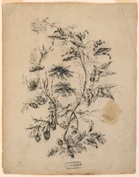 Dibujo, Rama de un árbol fantástico, 1775-1800