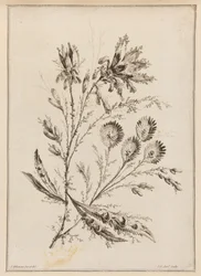 Rama de flores