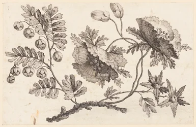 Rama de flores, de "Recueil de Fleurs Chinois"