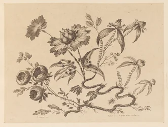 Ramas de flores, de "Recueil de Differentes Fleurs de Fantaisie Dans le Goût Chinois"