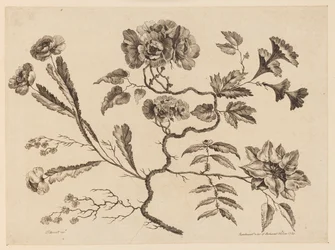 Ramas de flores, de "Recueil de Differentes Fleurs de Fantaisie Dans le Goût Chinois"