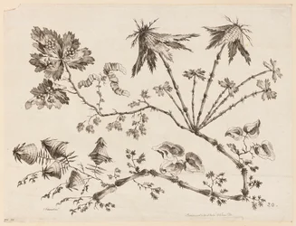 Ramas de flores, de "Recueil de Differentes Fleurs de Fantaisie Dans le Goût Chinois"