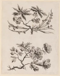 Ramas de Flores de, "Recueil de Fleurs Chinois"