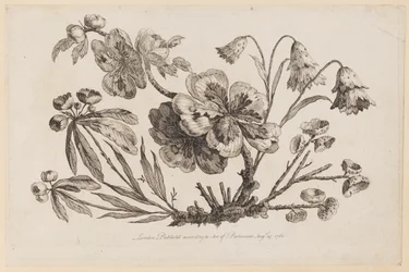 Ramas de flores, de "Recueil de Fleurs de Chinois"