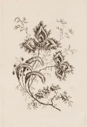 Rama de Flores, de "Fleures Persannes"