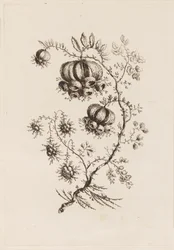 Rama de Flor, de "Flores Persas"