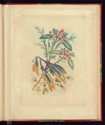 Diseño Ornamental con Pequeñas Flores Rojas y Bayas, de Nouvelle suite de cahiers de flerurs naturelle a l