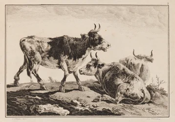 Placa 2, de "Cahier de Six Feuilles de Boeufs et Vaches"