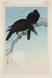 Cuervos a la luz de la luna