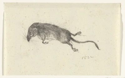 ratón muerto
