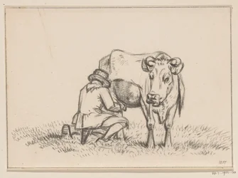una vaca esta siendo ordeñada