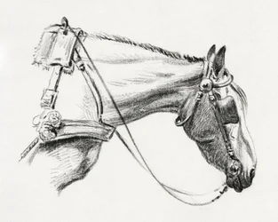 Cabeza de caballo (1820)