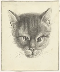 La cabeza del gato, de frente
