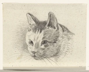 Cabeza de gato