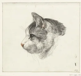 Cabeza de gato, a la izquierda