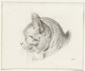 Cabeza de gato, a la izquierda