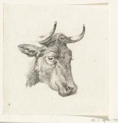 cabeza de vaca