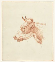 Cabeza de vaca, a la izquierda