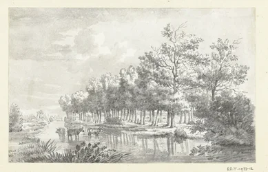 Paisaje con vacas zancudas