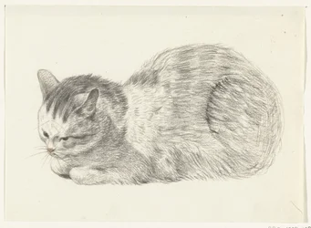 Gato reclinado, izquierda