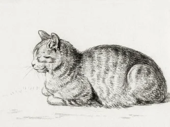 El gato tumbado (1811)