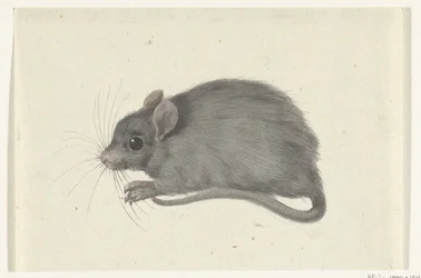 Ratón, a la izquierda