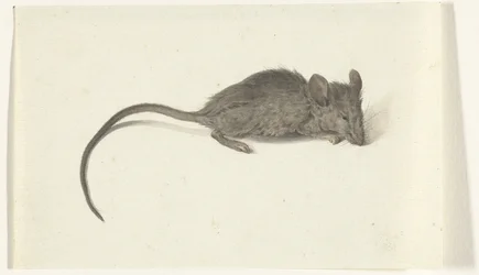 Ratón, a la derecha