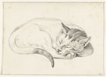 Gato dormido enrollado